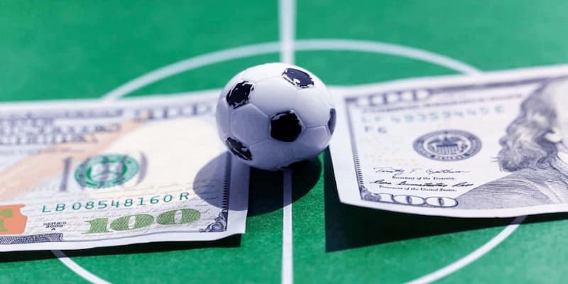 cá cược bóng Vì sao người chơi nên tham gia cá cược bóng đại tại 77bet