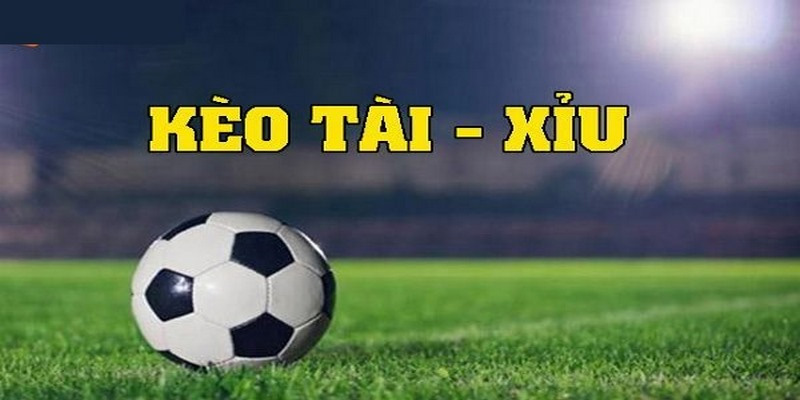 Cách Tính Tiền Cá Độ Bóng Đá Chuẩn Ai Cũng Cần Nắm Rõ 3 Kèo tài xỉu cũng có cách tính tiền lời tương tự kèo châu Á