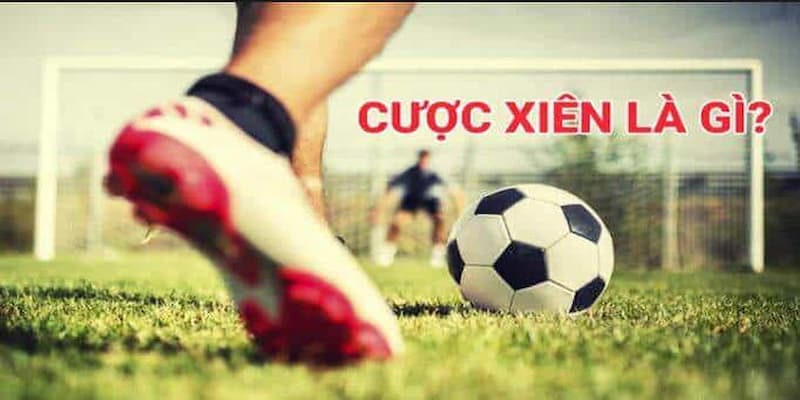 Cược Xiên Là Gì? Những Bí Quyết Cược Xiên Hiệu Quả 2 Cược xiên là gì?